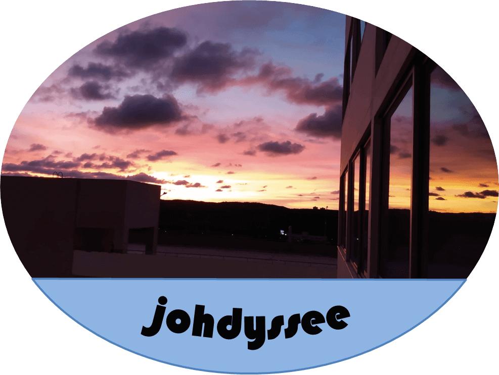 johdyssee