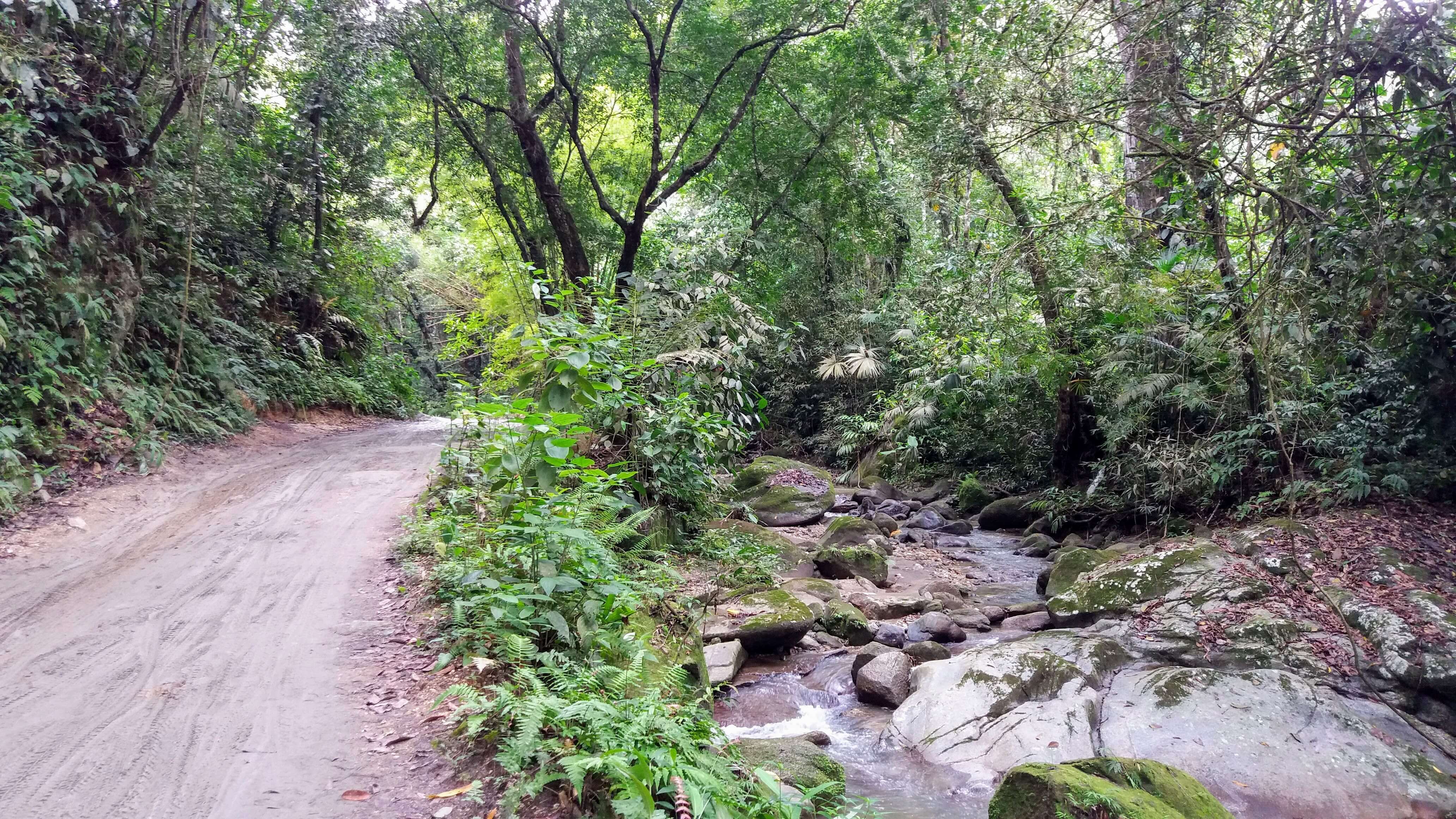 Camino a las cascadas de Marinca