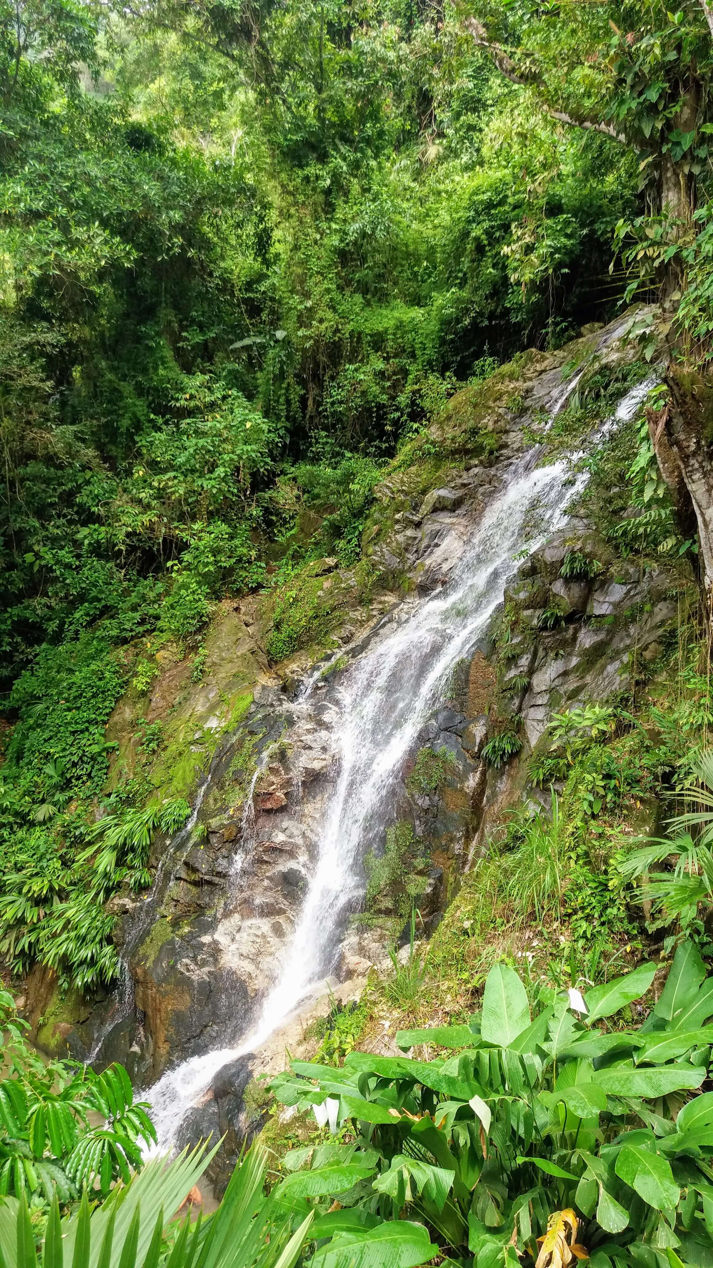 Las cascadas de Marinca