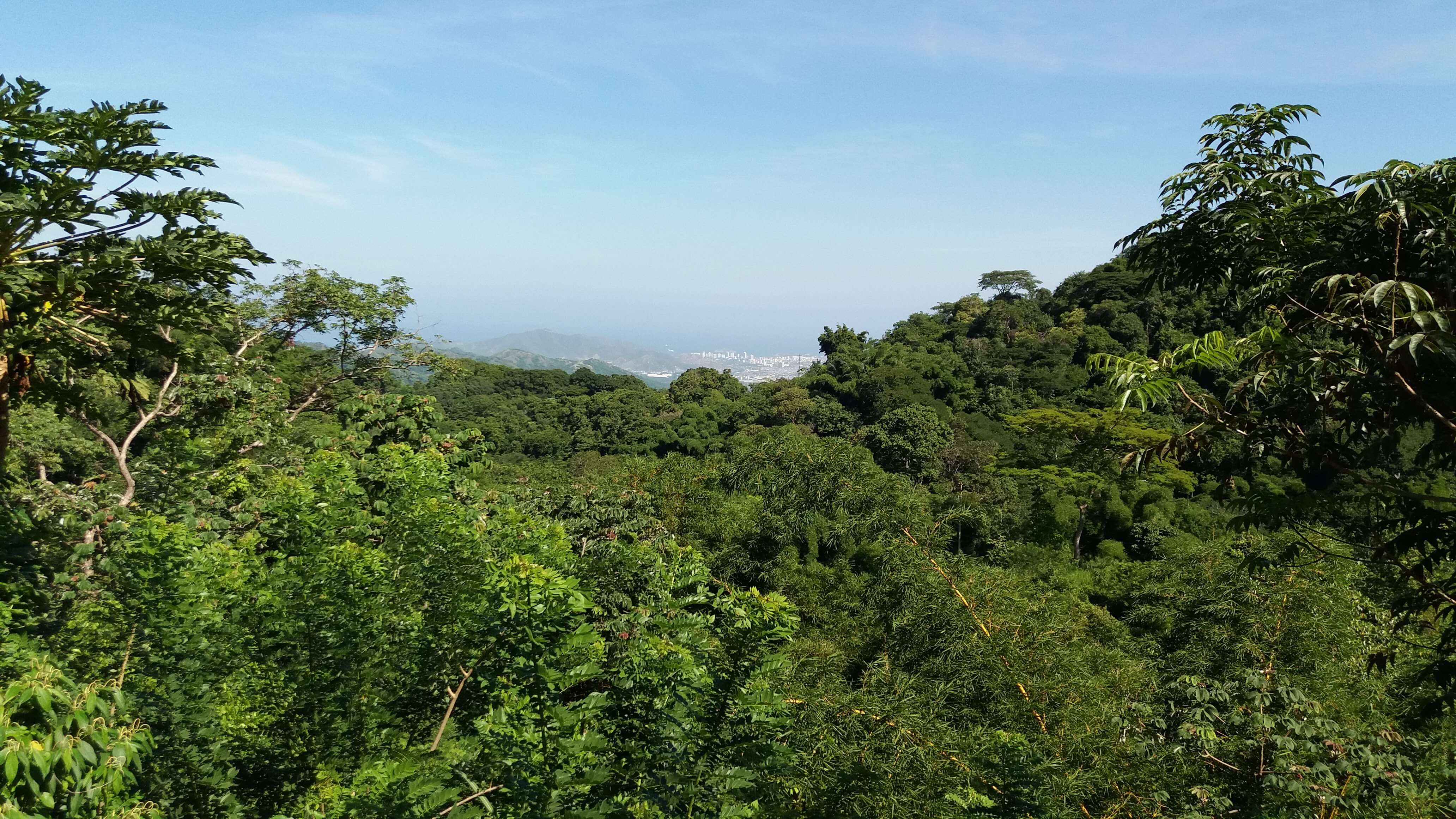 El mar verde