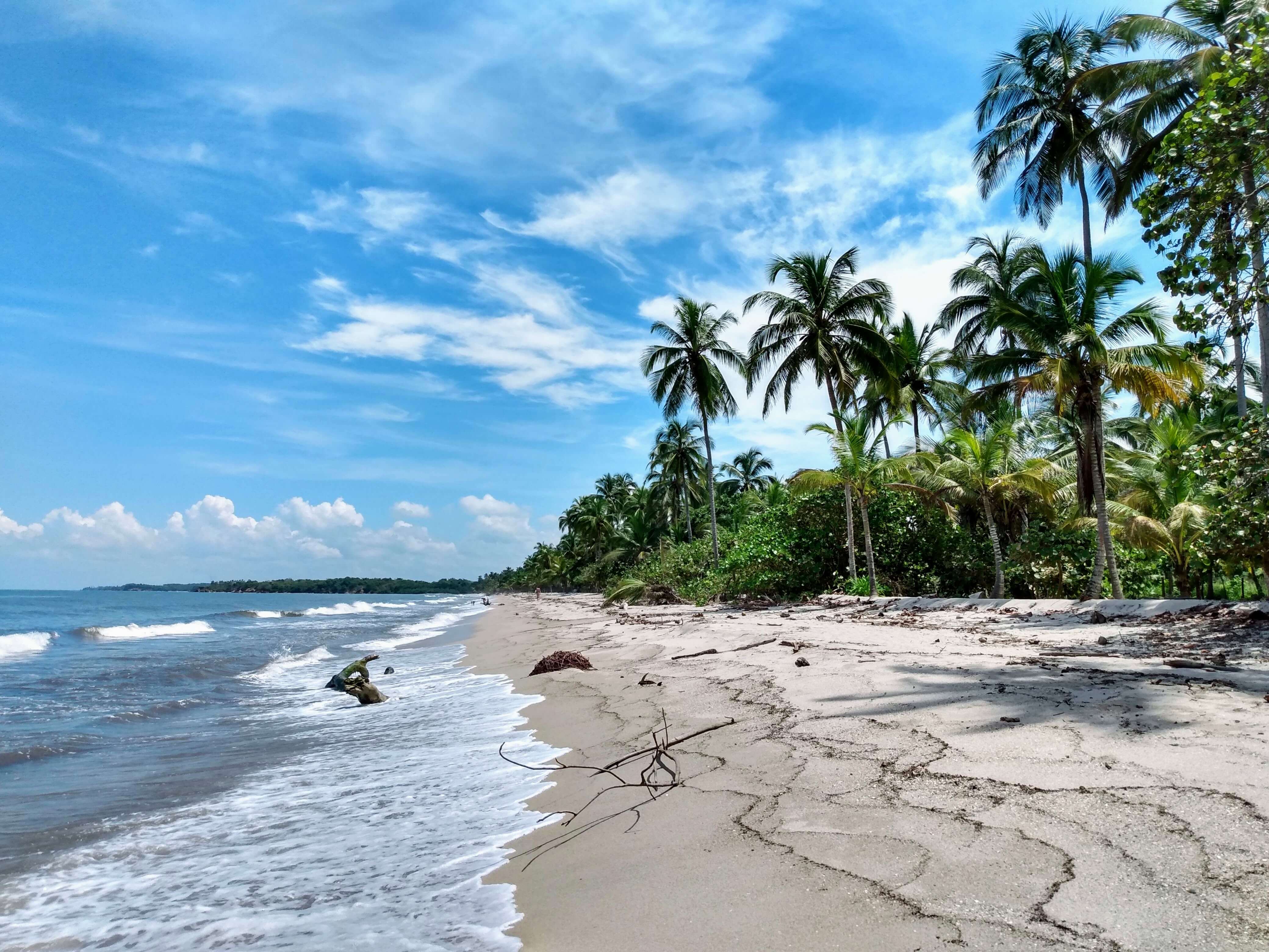 Playa en Palomino