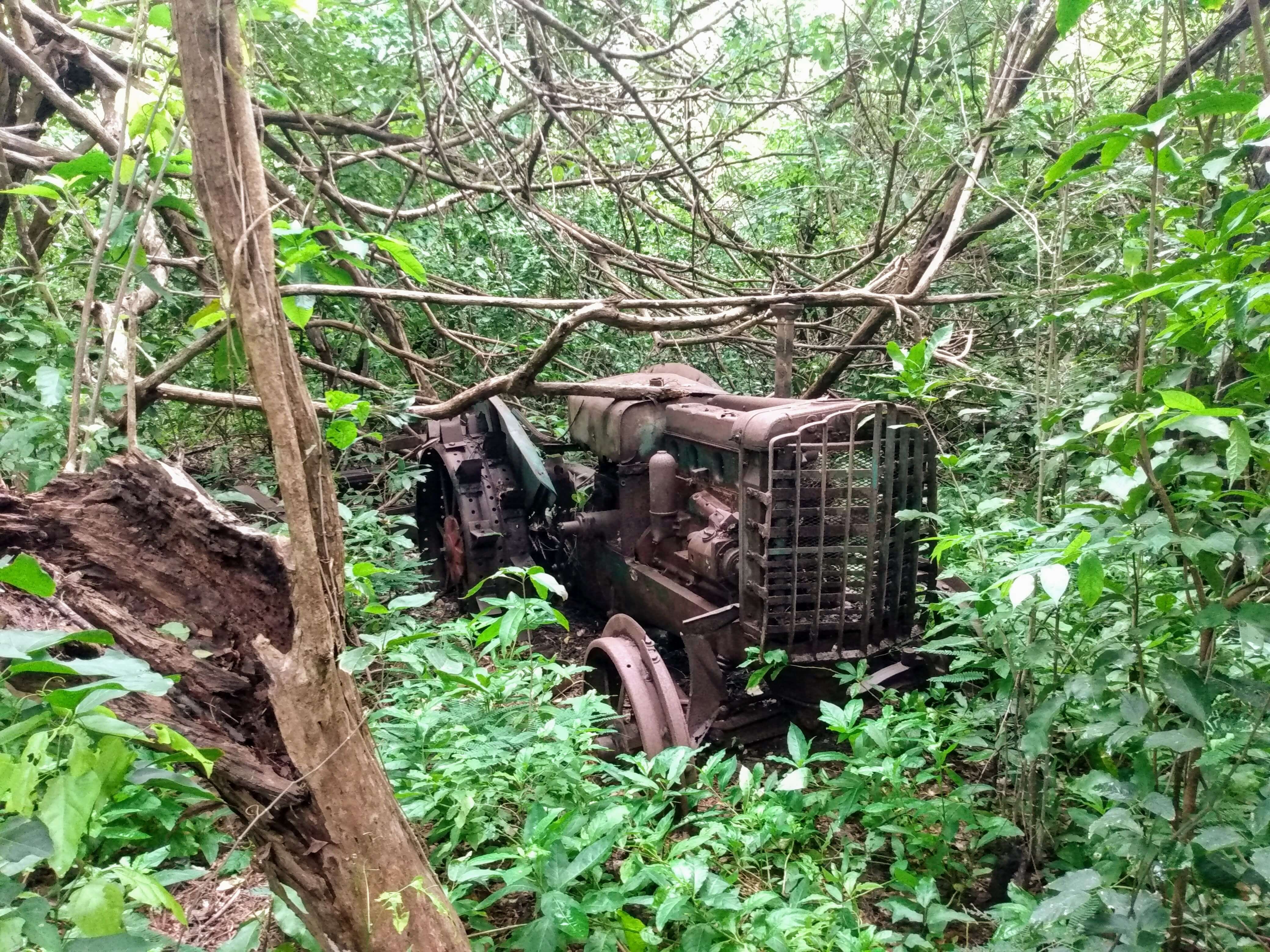 Tractora en el parque Tayrona